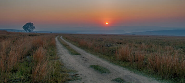 sunrise track